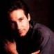 The David Duchovny Files