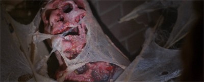 Un cadavre humain enfermé dans le cocon d'une mouche